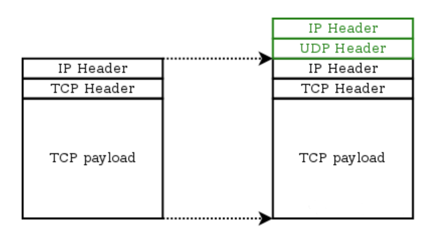 Snipaste_2023-07-08_17-05-24